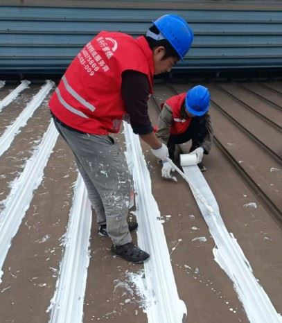 安徽雨中行修缮技术有限公司的图标